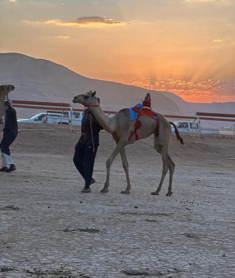 Flowers Rum Camp Wadi Rum Exterior foto